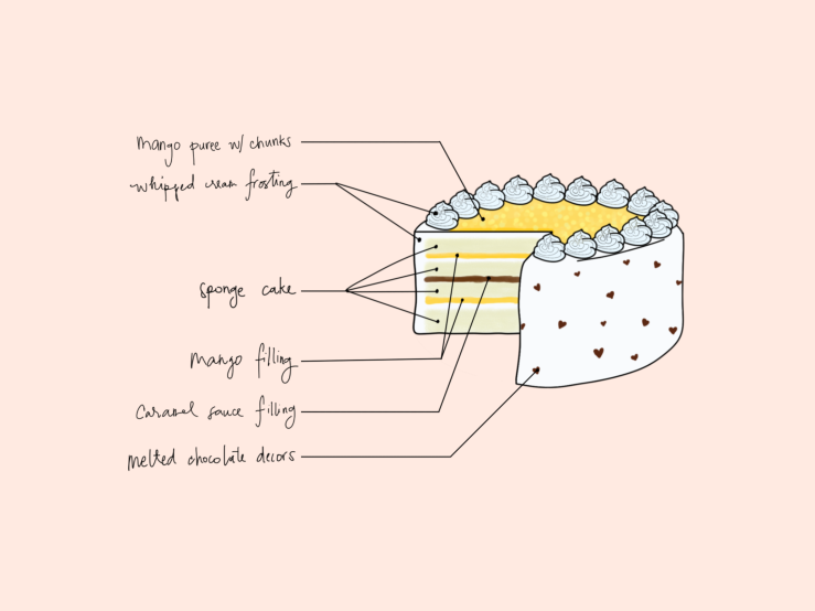 The anatomy of a mango cake drawing cute